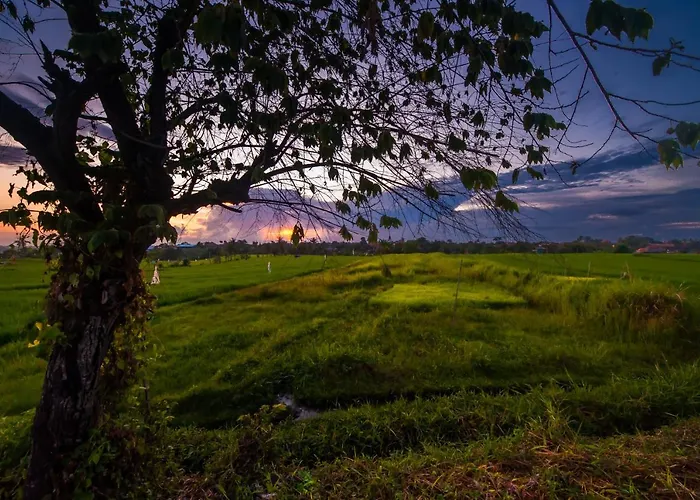 The Lebak 4*