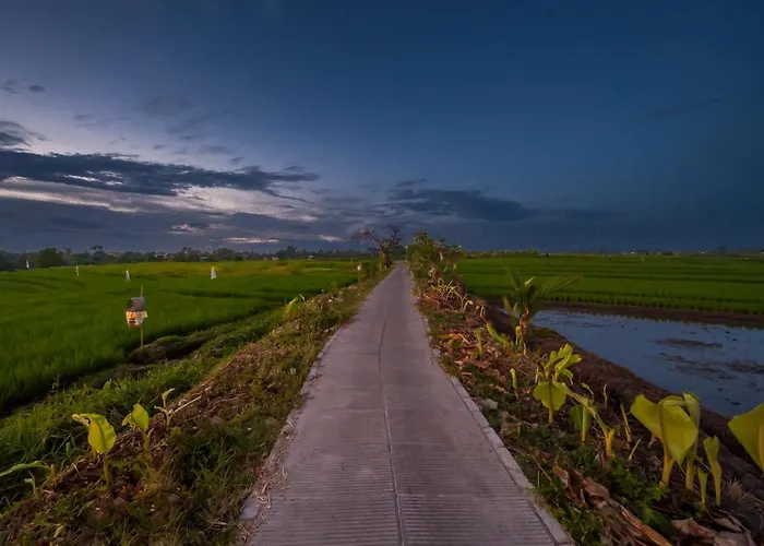 The Lebak 4*