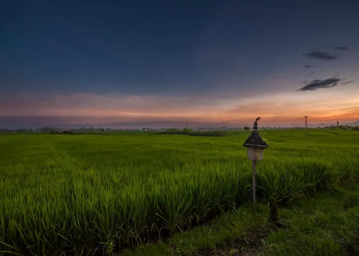 The Lebak