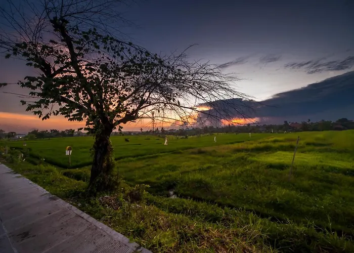 The Lebak 4* Canggu
